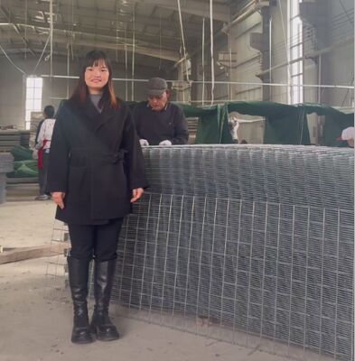 SX10 Sand Fileld HESCO Defensive Barriers With Geotextile  Military Gabion Barriers hesco barrier price