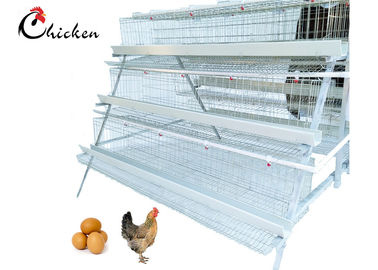 Cage galvanisée de couche de ferme avicole pour le système automatique de buveur du Bangladesh