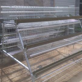 La cuvette 96 de PVC 128 160 que la volaille Egg les cages de couche/cage de ferme avicole faciles installent