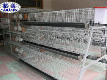 Cage automatique professionnelle de poulet de couche pour la ferme de poulet commerciale