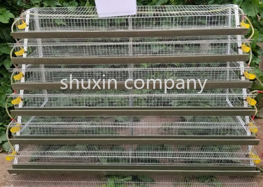 Cage commerciale de cailles de couche de grillage pour des cailles cultivant la longueur de 1.8m