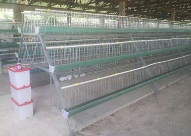 Cage populaire de couche d'oeufs de poulet, système de cage de batterie pour le poulet de batterie