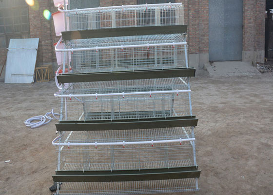 4 couches 128 poulets mettent en cage la ferme de poulet utilisée par cage galvanisée à chaud de poulet de couche