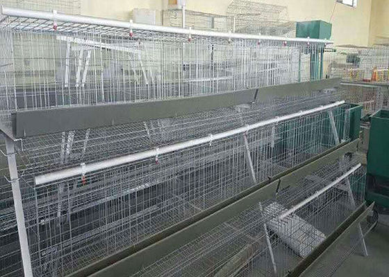 Oiseaux des oeufs 96 d'aviculture de Q 235	 Type cage de H de poulet
