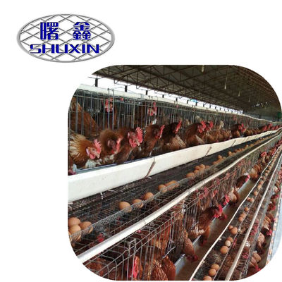 Oiseaux de la capacité 96-160 de rangées de la cage 3/4 de poulet de cage de poulet de haute qualité en Tanzanie