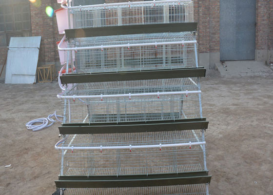 Cage galvanisée animale de poulet de couche d'aviculture