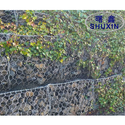 Le PVC a enduit les paniers galvanisés de Gabion font du jardinage le grillage 2*1*1m de fer