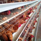 Fil en acier Q235 d'équipement agricole de volaille de cage de poulet de couche de 160 oiseaux 1.95m galvanisés