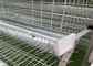 Cages personnalisables de pondeuses de 96/120/128/160 volaille de poulets pour la ferme