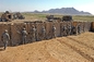 Barrières défensives résistantes du mil 10 mil 3 Hesco de sacs de sable de barrières pour le champ de tir