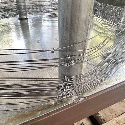 Vente à chaud Barrières de réservoirs Maillage en acier Maillage de fil de fer Trap Réseau Russie