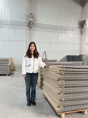 20 cellules mur de protection Hesco fil d'armée traction 500-800mpa