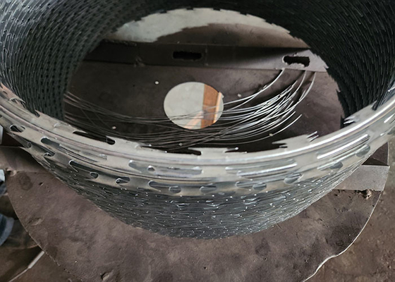 Acier galvanisé double tordu en PVC revêtu de rasoir, clôture, fil de fer, épingle à mur, provenance directe