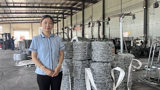 Vente en gros de fils barbelés en acier galvanisé électrique à bas prix pour le ménage