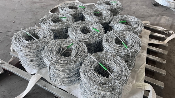 KN Vente à chaud de fil barbelé électro-galvanisé