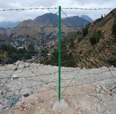 25mm fil de fer barbelé galvanisé fil de fer barbelé anti-vol sécurité fil de fer barbelé clôture 12 calibre acier à faible teneur en carbone galvanisé fil de fer barbelé pakistan fil de fer barbelé avec certificat CE