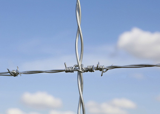 Utilisation des murs de la prison Clôture traditionnelle en fil de fer barbelé à double brin