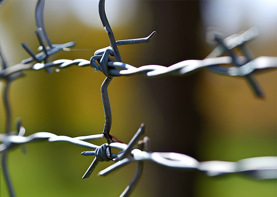 Utilisation des murs de la prison Clôture traditionnelle en fil de fer barbelé à double brin