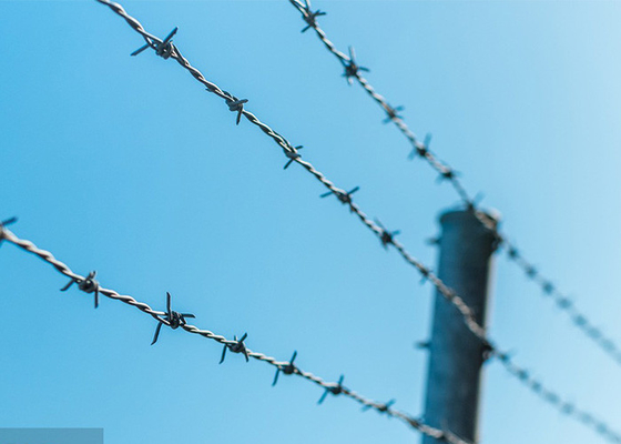 Utilisation des murs de la prison anti-escalade fil barbelé en PVC enduit en fer unique
