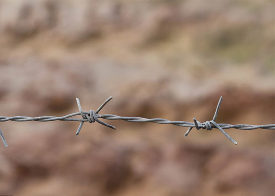 Utilisation des murs de la prison Tordre 3 ou 4 pouces Barbe Distance chaud plongé galvanisé fil barbelé