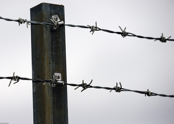 Utilisation des murs de la prison en fil barbelé galvanisé anti-escalade