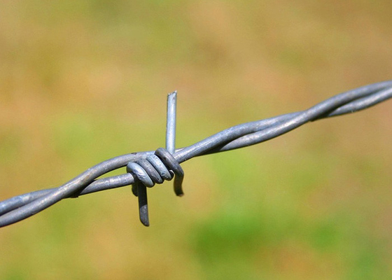 Utilisation des murs de la prison Fil barbelé en acier inoxydable à fil unique prix par rouleau
