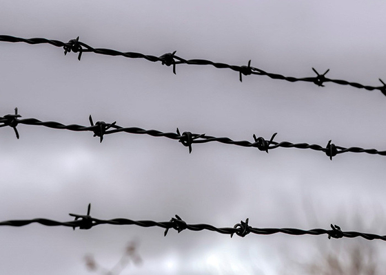 Utilisation des murs de la prison en PVC enduit à double tournure/fil barbelé galvanisé