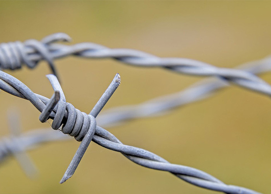 Utilisation des murs de la prison longueur 200m fil barbelé en acier inoxydable prix par rouleau