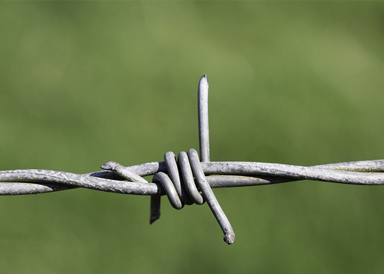 Utilisation des murs de la prison en fil de fer barbelé galvanisé traditionnel à double brin