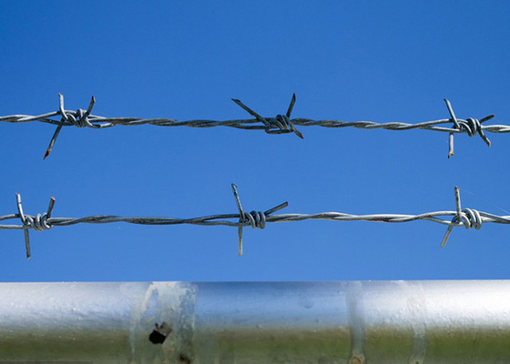 Utilisation des murs de la prison Fil barbelé galvanisé à chaud à fil unique