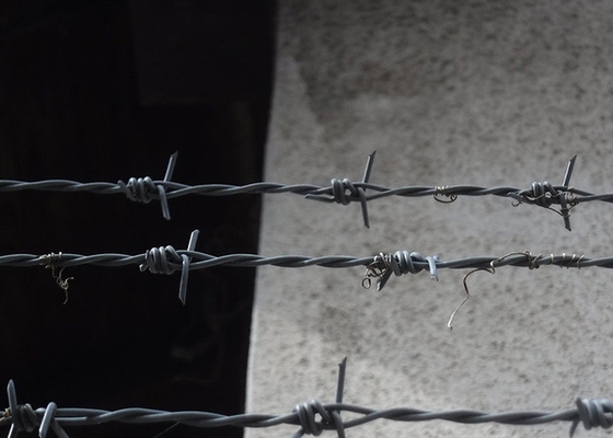 Garde anti-vol à double brin de fil de fer barbelé traditionnel