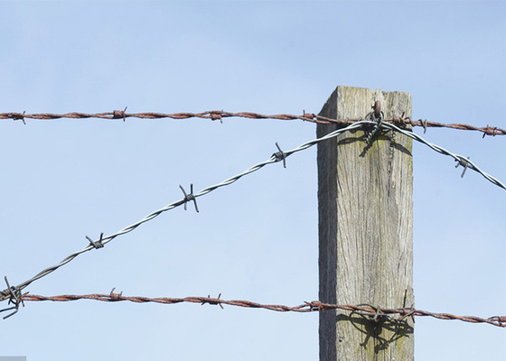 Garde à fil barbelé en acier galvanisé à un seul brin anti-vol