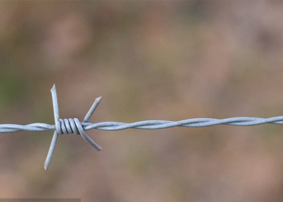 Des bobines de fil de fer barbelé à double brin traditionnelles