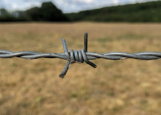 Des bobines de fil barbelé galvanisé à chaud enduit à la chaleur