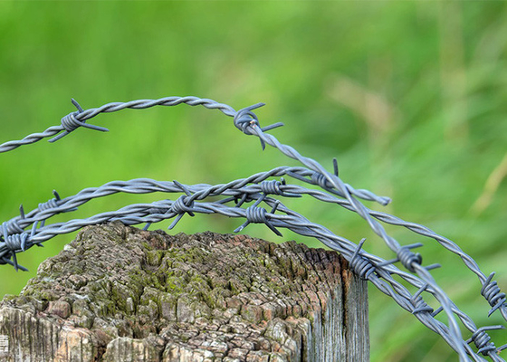 Garde anti-vol Longueur 200m Fil barbelé galvanisé à chaud
