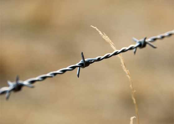 Protection des exploitations agricoles en fil barbelé galvanisé à chaud en bobines en fil double tordu