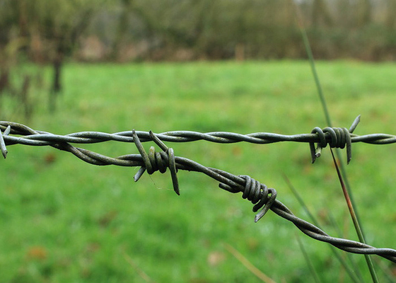 Prix par rouleau de fil barbelé en acier inoxydable à fil unique de protection agricole