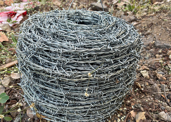 Protection des exploitations agricoles Double fil de fer barbelé en acier inoxydable à torsion inverse