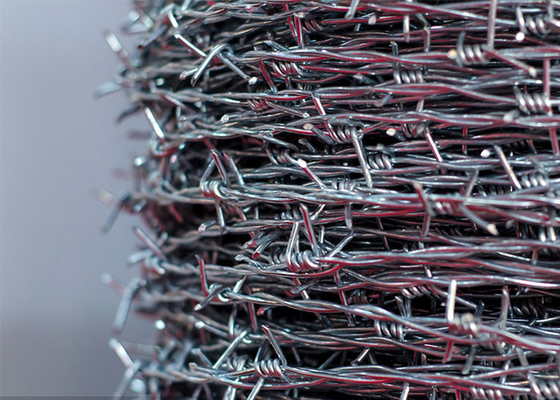 Coils de fil barbelé en acier inoxydable à double brin de calibre 14