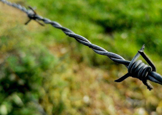Fil barbelé de sécurité électro-galvanisé pour l'isolation et la protection