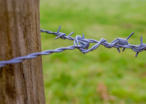 Fil barbelé de sécurité électro-galvanisé pour l'isolation et la protection