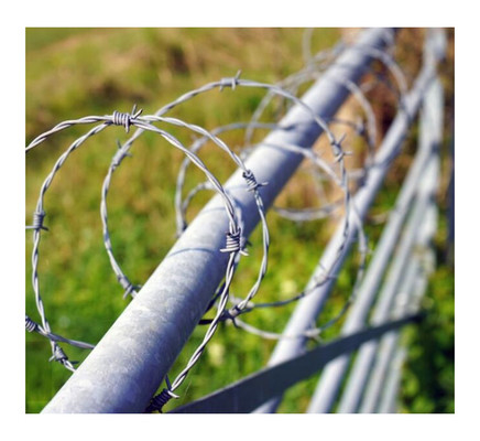 Fil barbelé croisé Mesures défensives Anti-corrosion Fil galvanisé soudé fil barbelé Fil de clôture