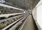 Cage de batterie de volaille de 3 rangées pour la certification de la CE de ferme avicole de poulet d'oeufs
