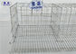 Le type automatique élevage de batterie met en cage 4 rangées 5 cellules 160 oiseaux pour l'Ouganda