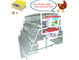Cage durable de couche de poulet galvanisée par Q235 pour la ferme de poulet commerciale