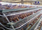 Cage galvanisée plongée chaude de Mesh Poultry Hen Layer Chicken de fil