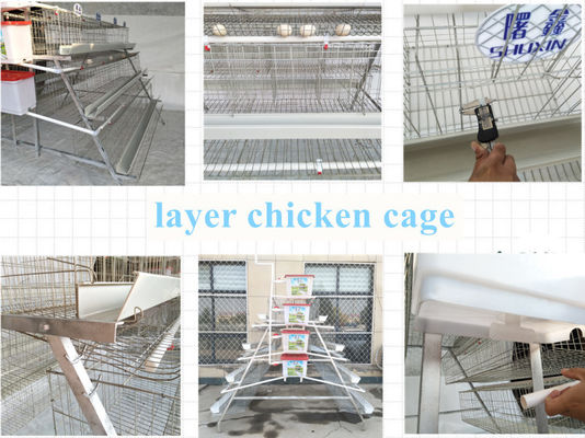 Clôture en acier enduit de zinc Clôture de sécurité en fil de fer en fil de fer barbelé