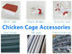 Cage galvanisée d'acier inoxydable Mesh Automatic Egg Layer Chicken