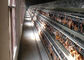 Cage moderne de poulet de couche de volaille de bâtiment de ferme