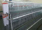 Cage moderne de poulet de couche de volaille de bâtiment de ferme